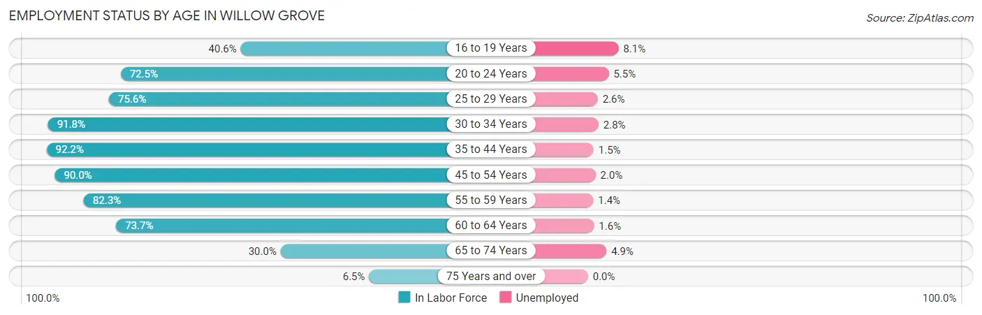 Employment Status by Age in Willow Grove
