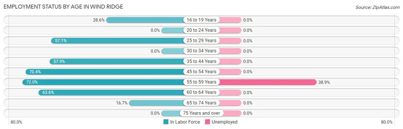 Employment Status by Age in Wind Ridge