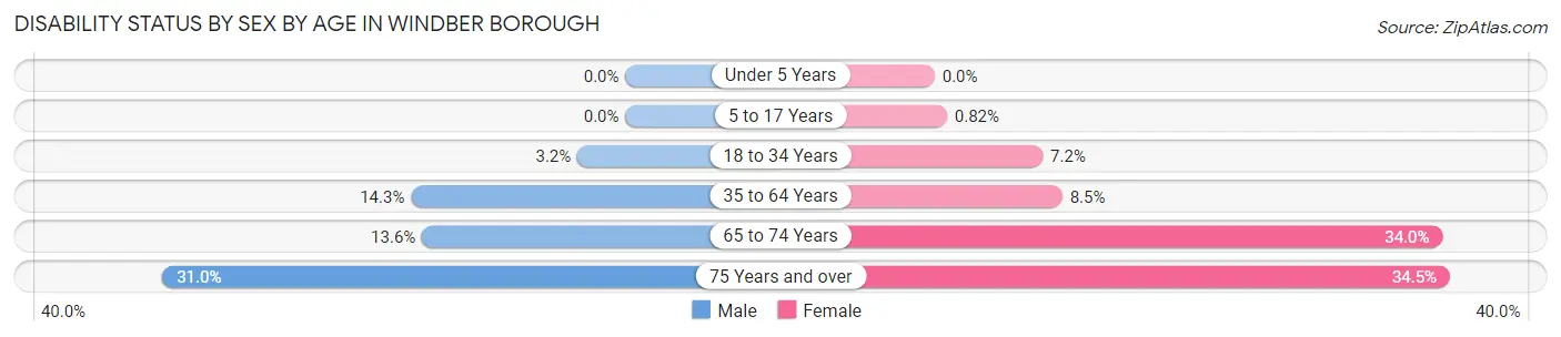 Disability Status by Sex by Age in Windber borough