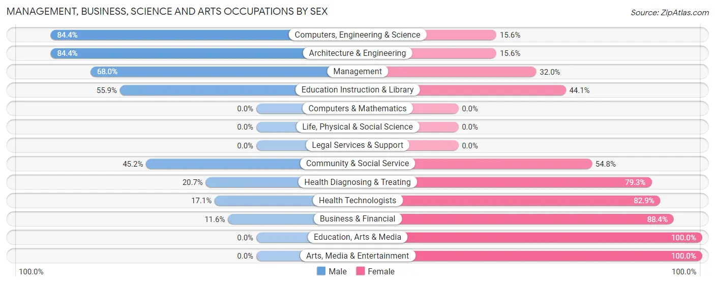 Management, Business, Science and Arts Occupations by Sex in Windber borough