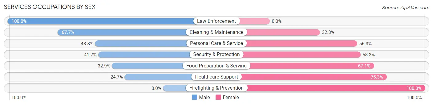 Services Occupations by Sex in Windber borough