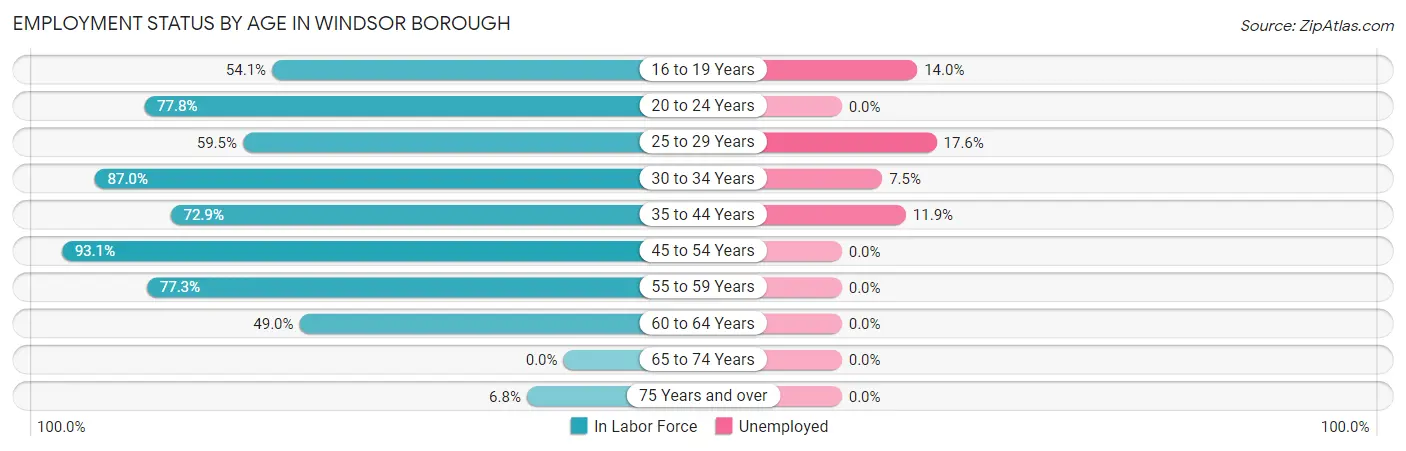 Employment Status by Age in Windsor borough