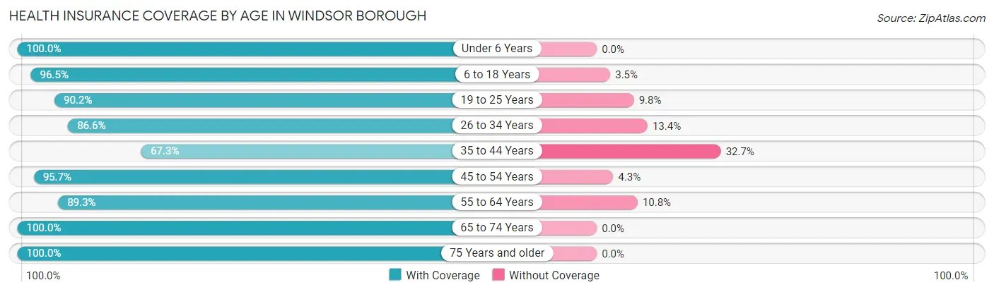 Health Insurance Coverage by Age in Windsor borough