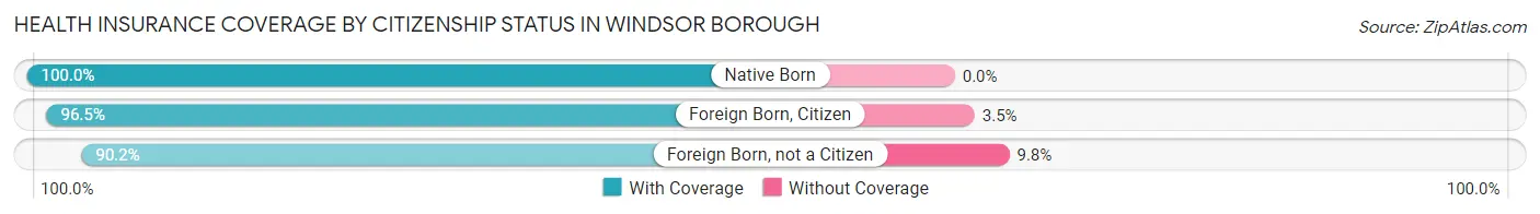 Health Insurance Coverage by Citizenship Status in Windsor borough