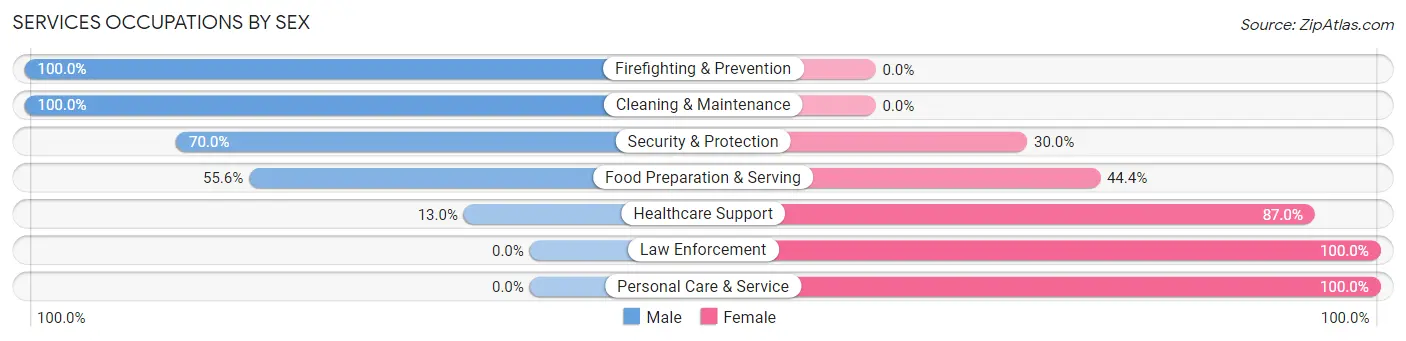 Services Occupations by Sex in Windsor borough