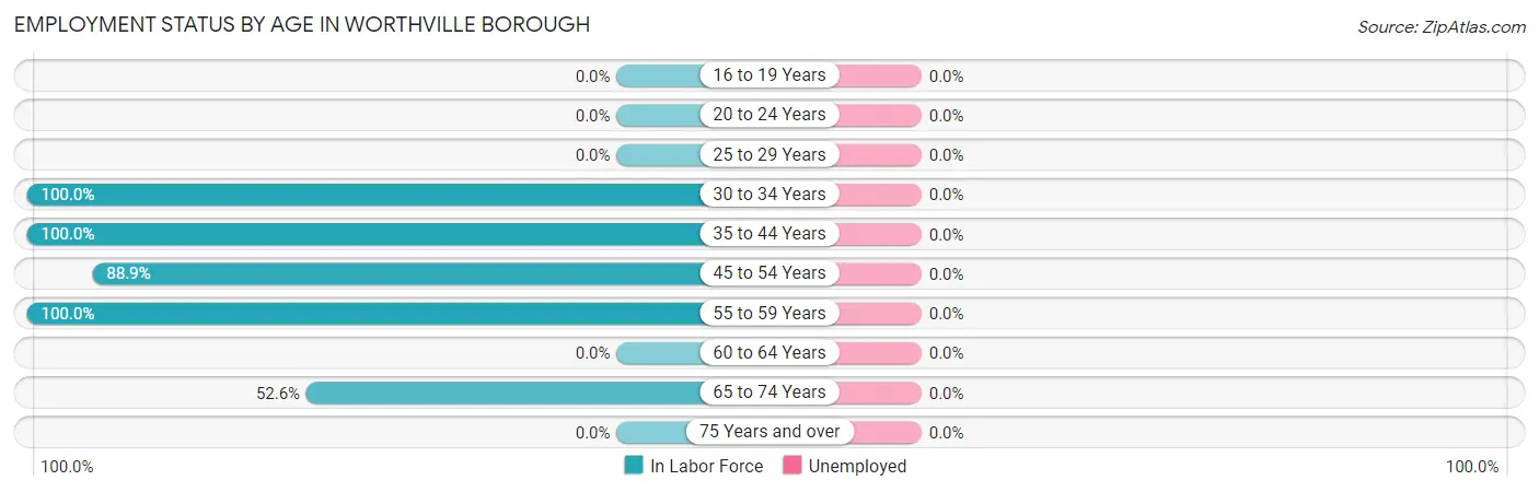 Employment Status by Age in Worthville borough