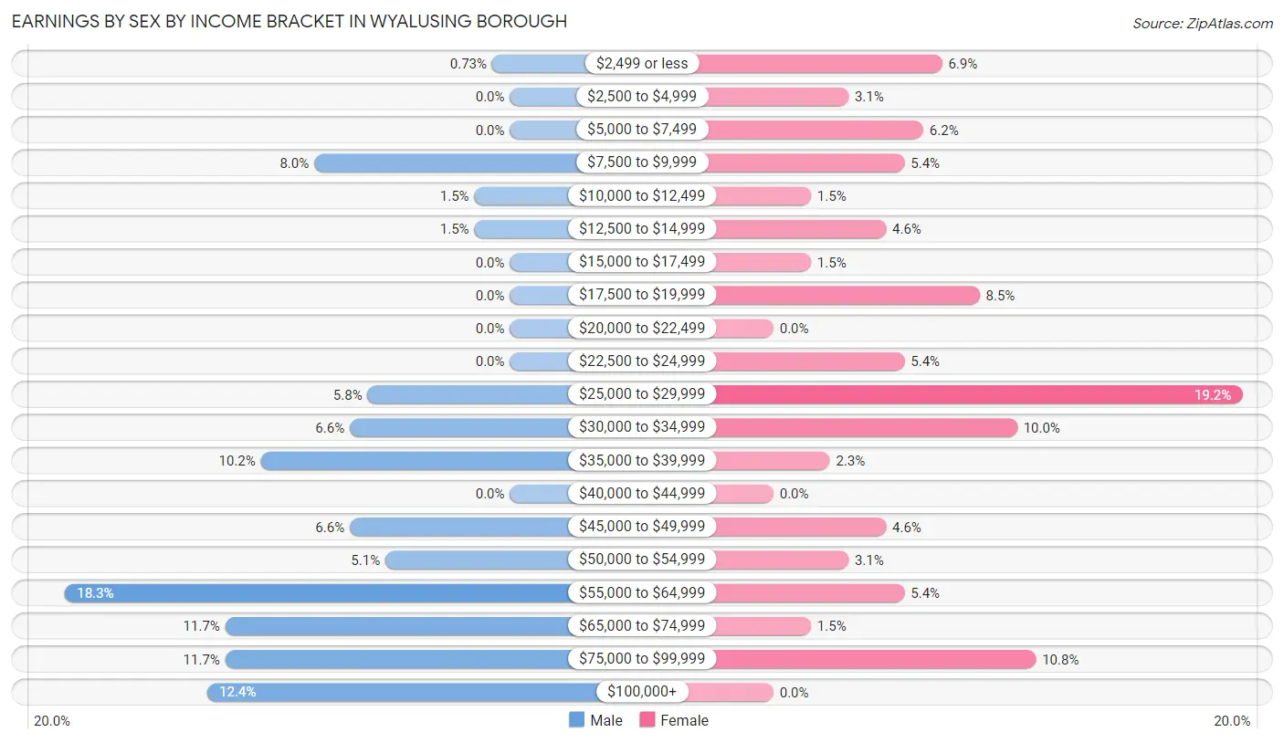 Earnings by Sex by Income Bracket in Wyalusing borough