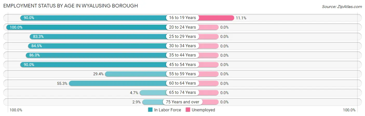 Employment Status by Age in Wyalusing borough