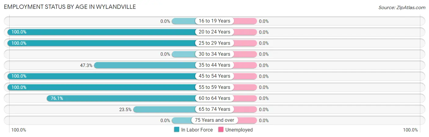 Employment Status by Age in Wylandville