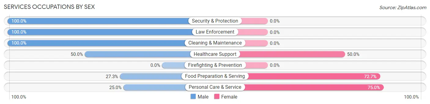 Services Occupations by Sex in Yatesville borough