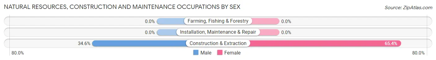 Natural Resources, Construction and Maintenance Occupations by Sex in Yeagertown
