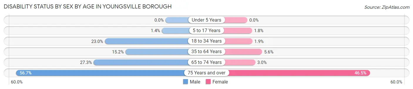 Disability Status by Sex by Age in Youngsville borough