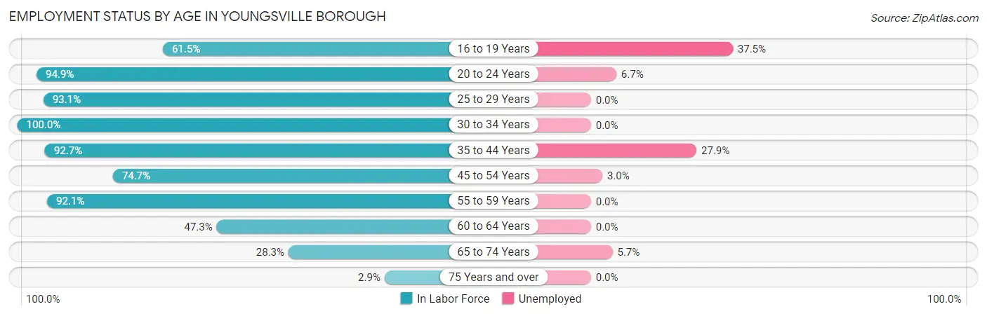 Employment Status by Age in Youngsville borough