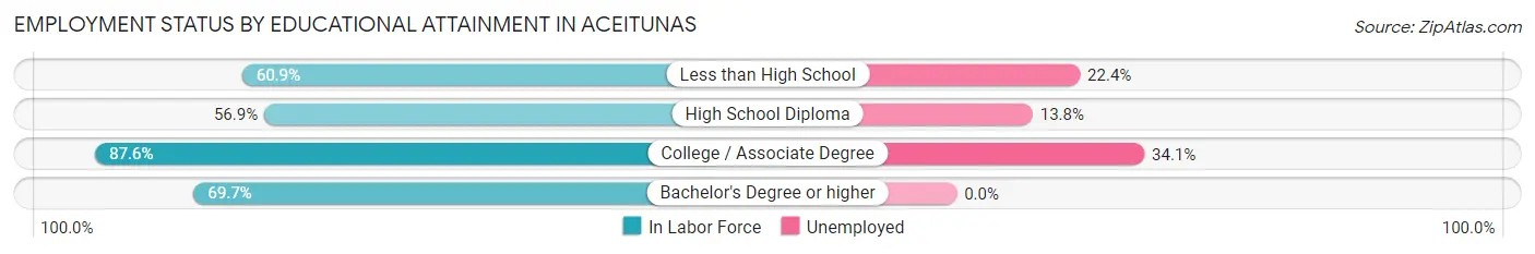 Employment Status by Educational Attainment in Aceitunas