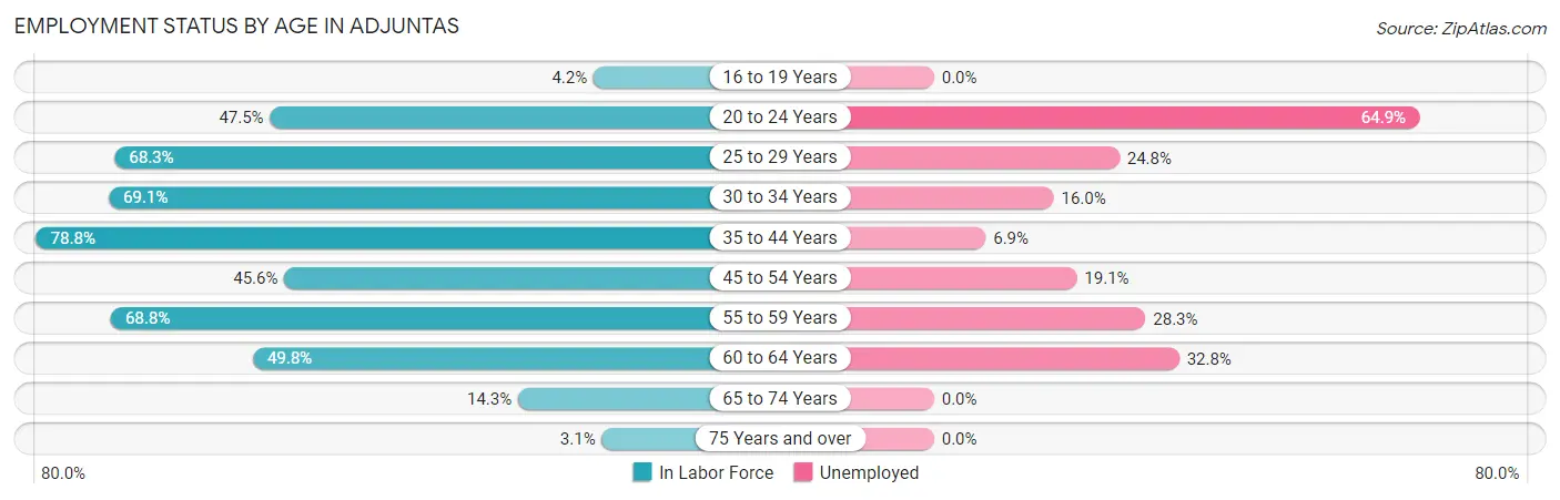 Employment Status by Age in Adjuntas