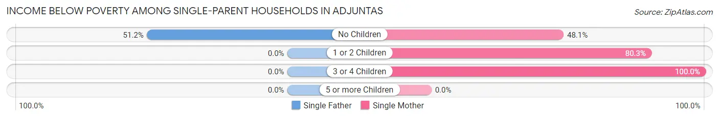 Income Below Poverty Among Single-Parent Households in Adjuntas