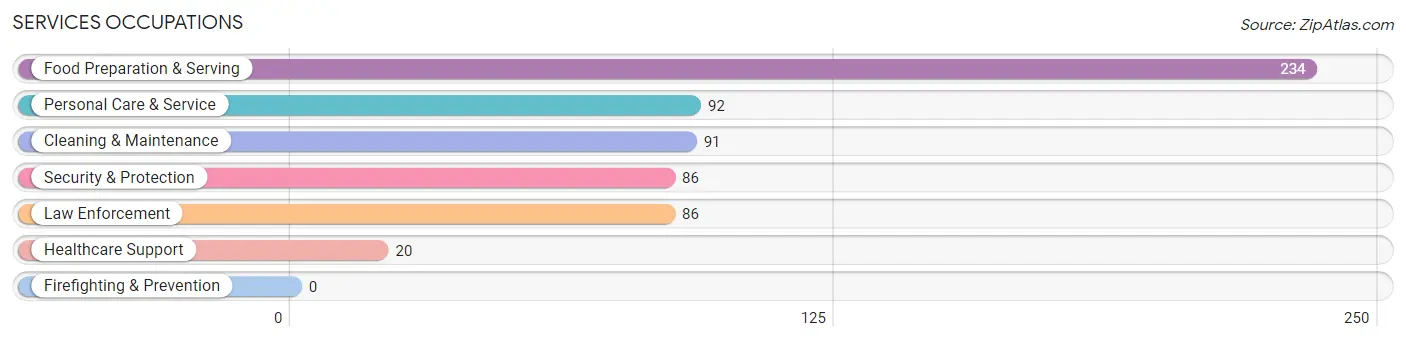 Services Occupations in Aguilita