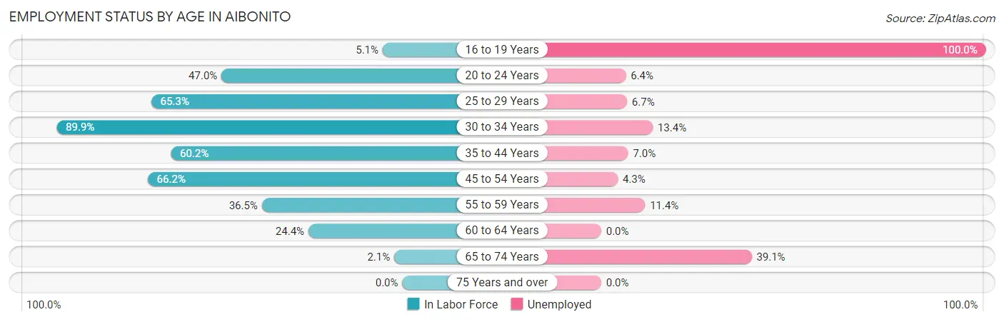 Employment Status by Age in Aibonito