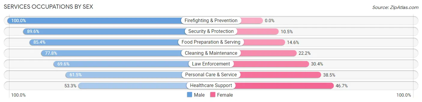 Services Occupations by Sex in Aibonito