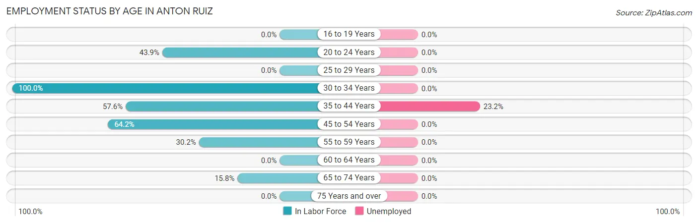 Employment Status by Age in Anton Ruiz