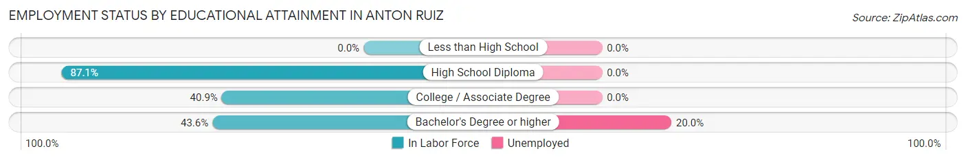 Employment Status by Educational Attainment in Anton Ruiz