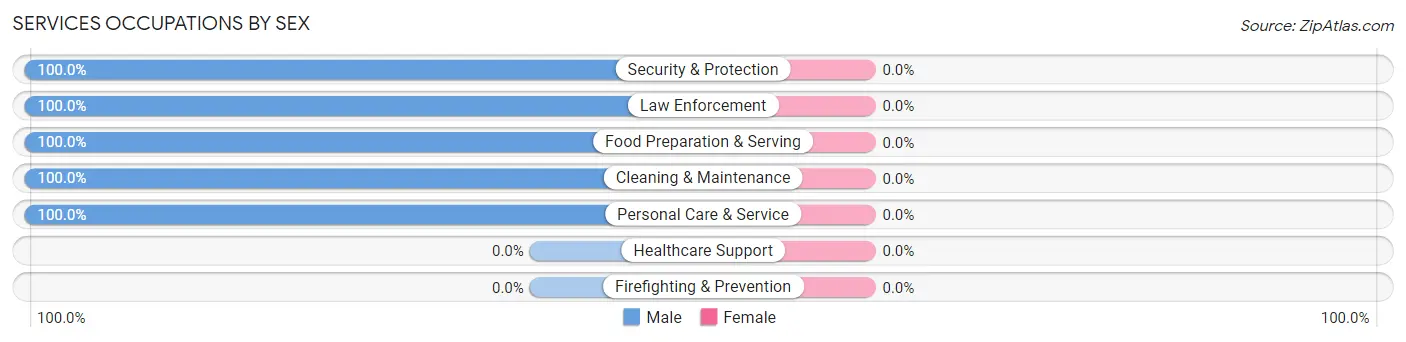 Services Occupations by Sex in Anton Ruiz