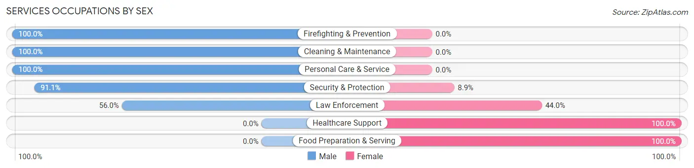 Services Occupations by Sex in Bajadero