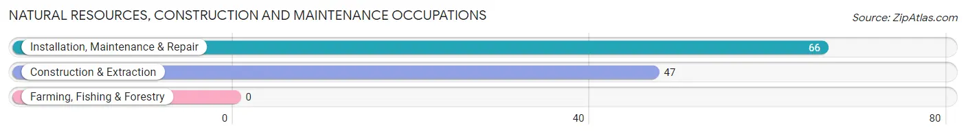 Natural Resources, Construction and Maintenance Occupations in Barceloneta