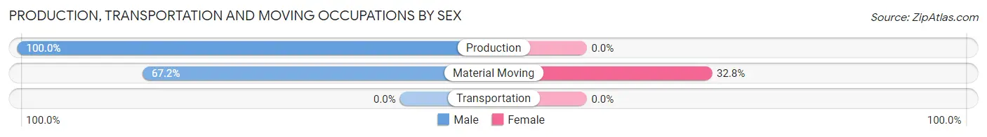 Production, Transportation and Moving Occupations by Sex in Bayamon