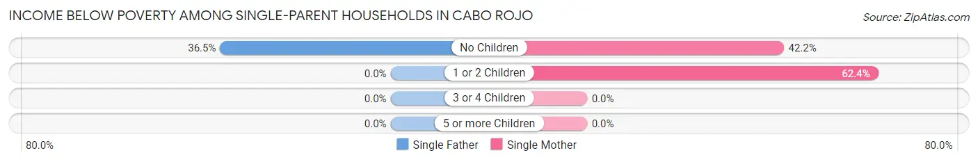 Income Below Poverty Among Single-Parent Households in Cabo Rojo