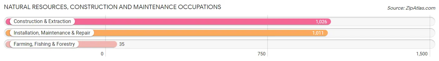 Natural Resources, Construction and Maintenance Occupations in Caguas