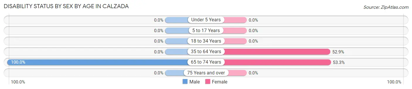 Disability Status by Sex by Age in Calzada