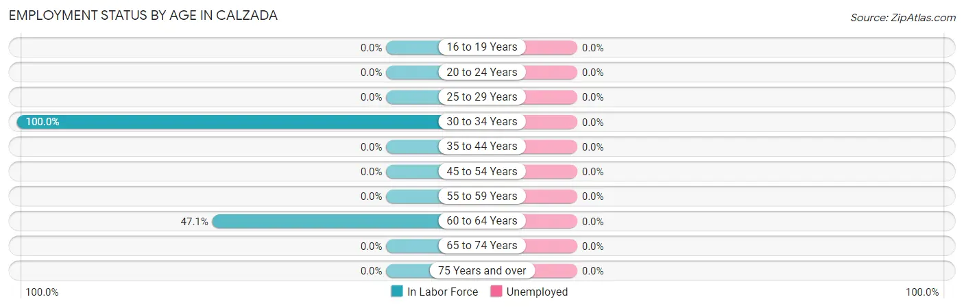 Employment Status by Age in Calzada