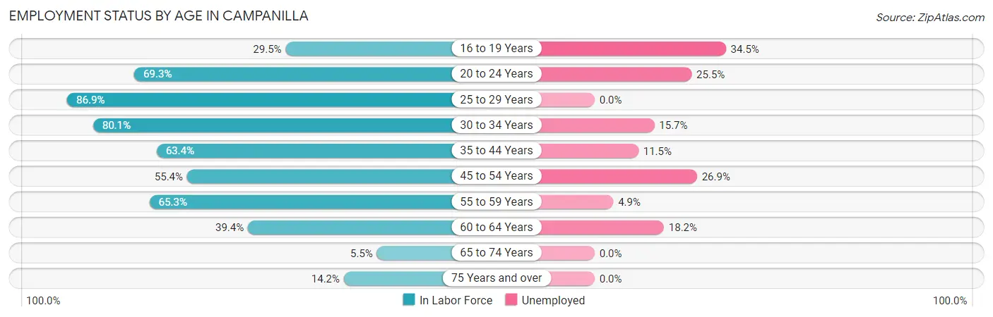 Employment Status by Age in Campanilla
