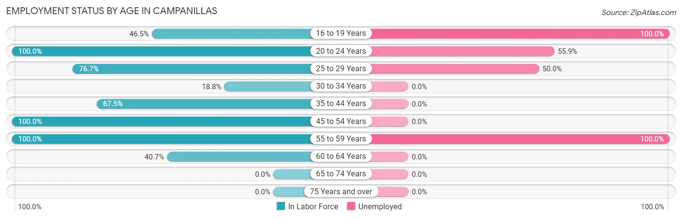 Employment Status by Age in Campanillas