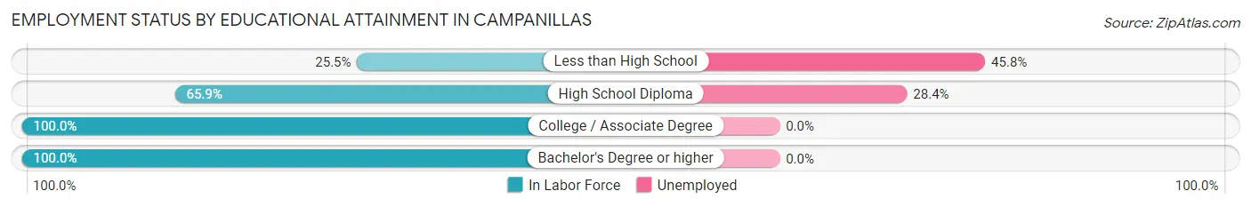 Employment Status by Educational Attainment in Campanillas