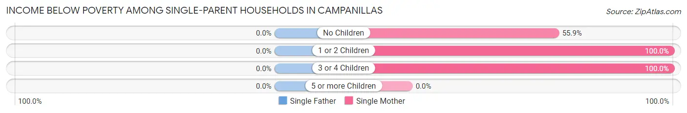 Income Below Poverty Among Single-Parent Households in Campanillas