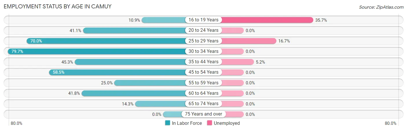 Employment Status by Age in Camuy