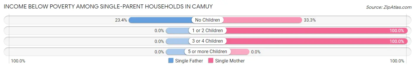 Income Below Poverty Among Single-Parent Households in Camuy