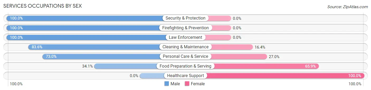 Services Occupations by Sex in Camuy