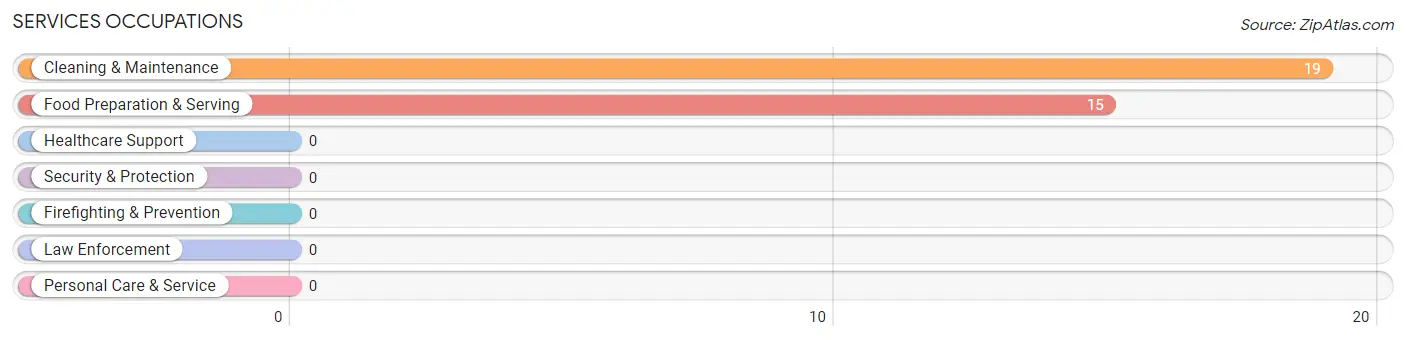 Services Occupations in Candelero Abajo