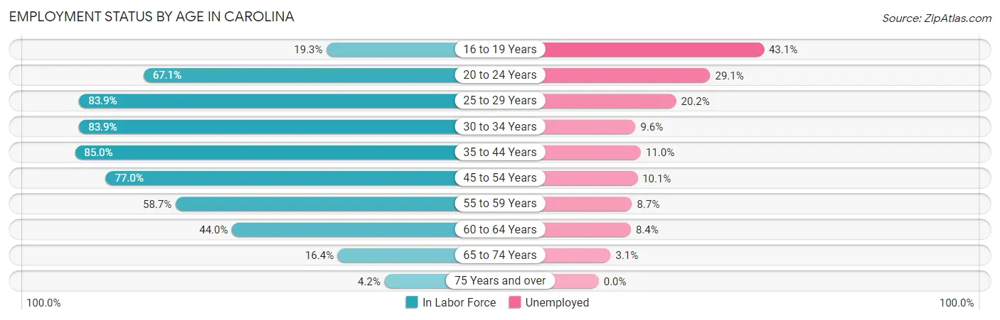 Employment Status by Age in Carolina