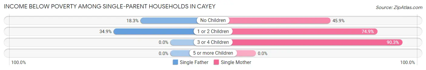 Income Below Poverty Among Single-Parent Households in Cayey