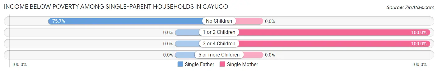 Income Below Poverty Among Single-Parent Households in Cayuco