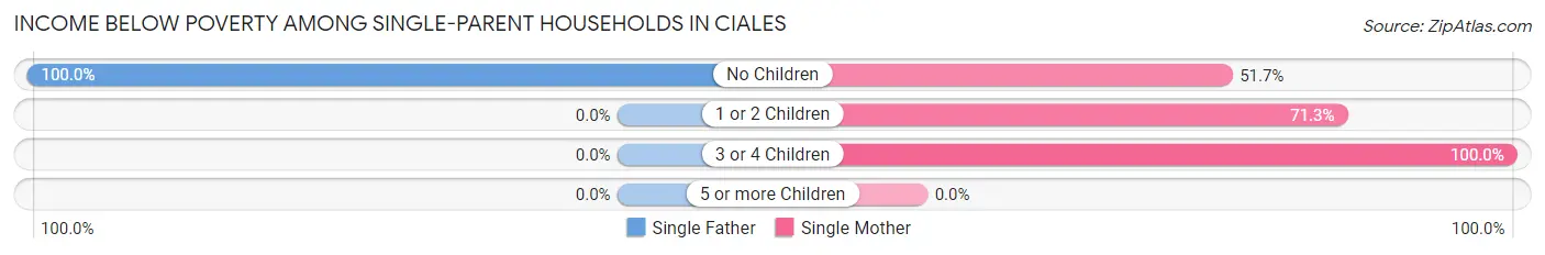 Income Below Poverty Among Single-Parent Households in Ciales