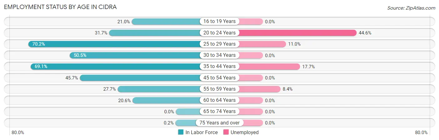 Employment Status by Age in Cidra