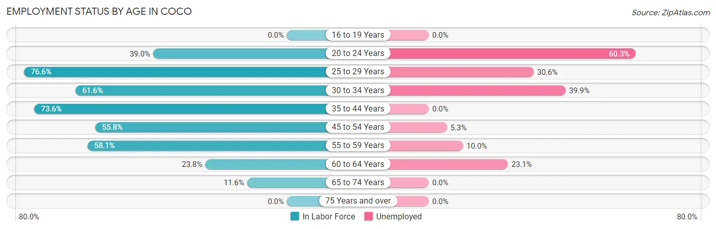 Employment Status by Age in Coco
