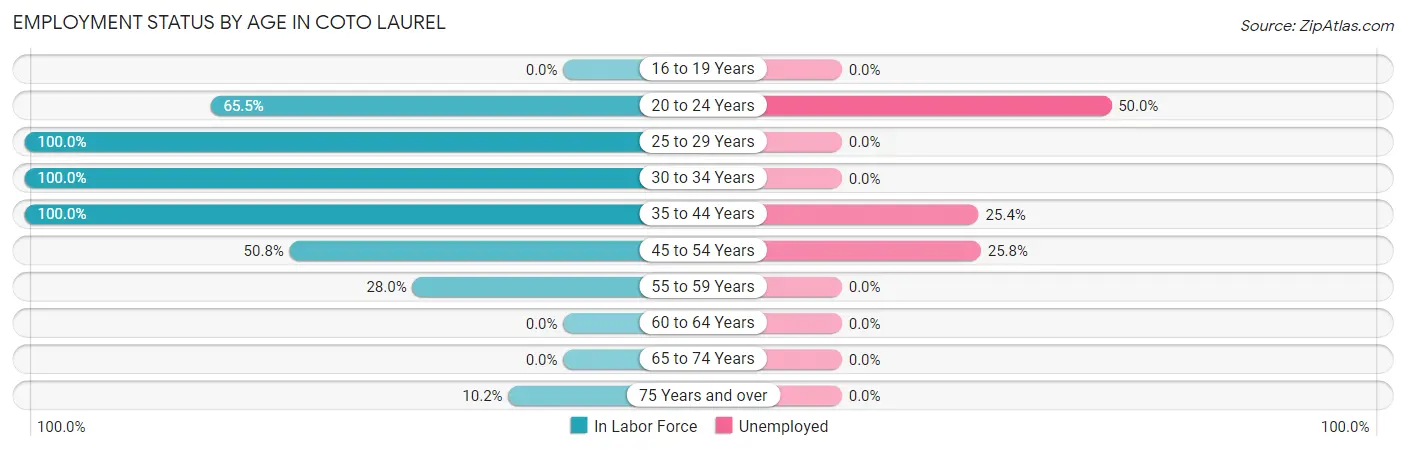 Employment Status by Age in Coto Laurel