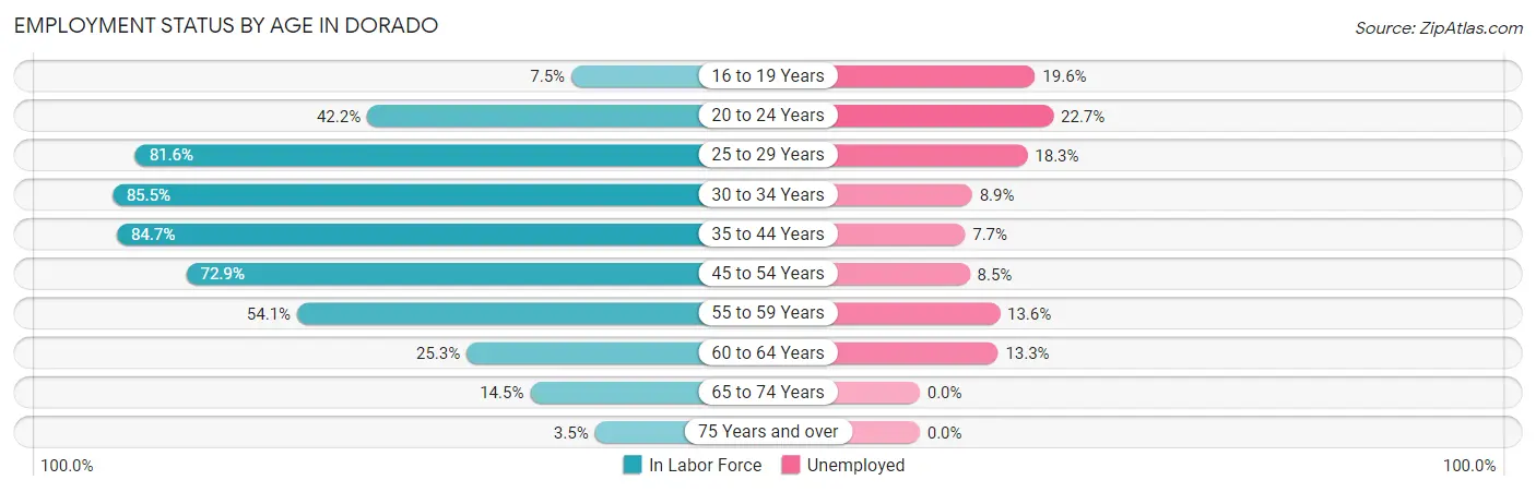 Employment Status by Age in Dorado