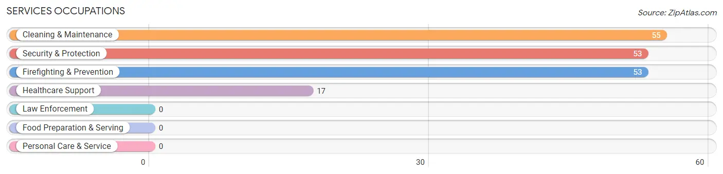 Services Occupations in Duque